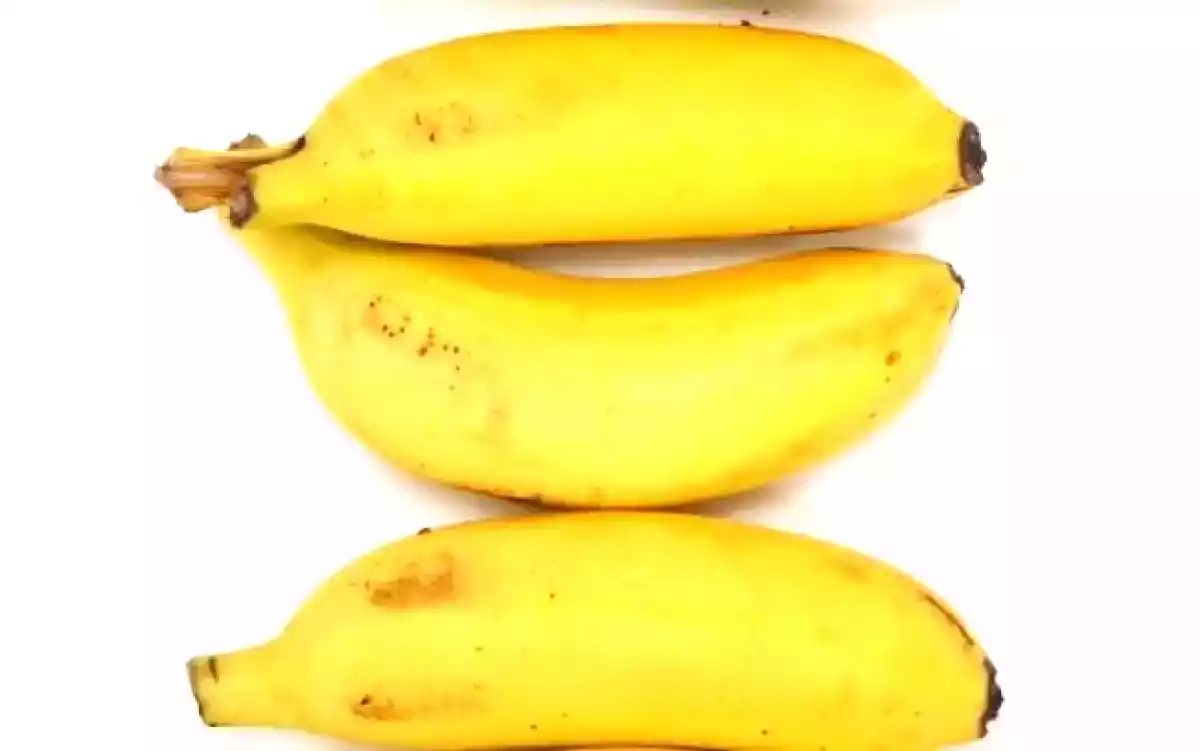 Banana-ouro