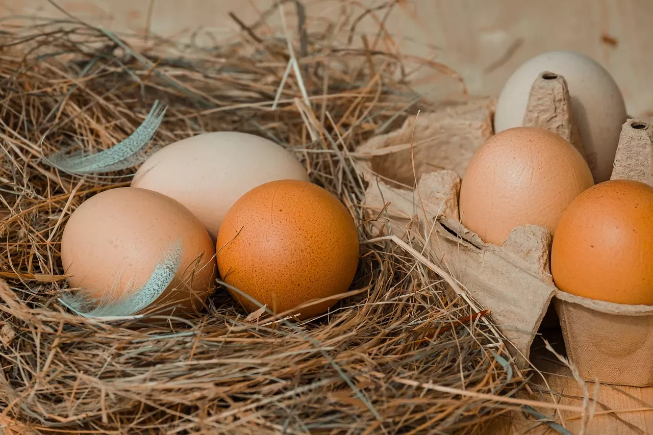 A técnica infalível para saber se um ovo ainda está bom