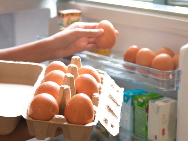 Veja como realmente deveríamos organizar os ovos do supermercado segundo a ciência