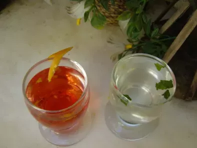 Bebidas refrescantes - Flor de Sabugueiro, Mirtilo, Gengibre, Ho
