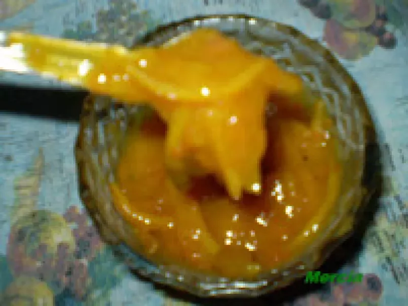 Geléia de laranja Kinkan - foto 2