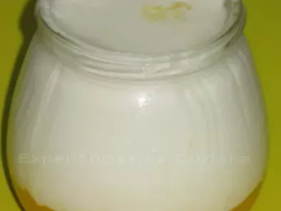Iogurte com Polpa de Manga - foto 2