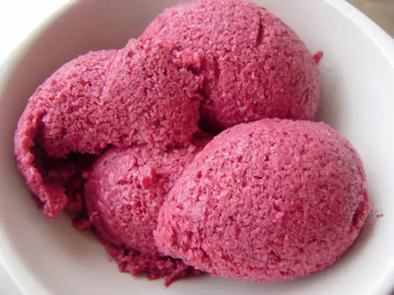 Sorvete de Amoras/ Frozen Iogurt de Frutas Vermelhas
