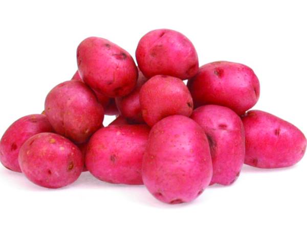 Batata-inglesa