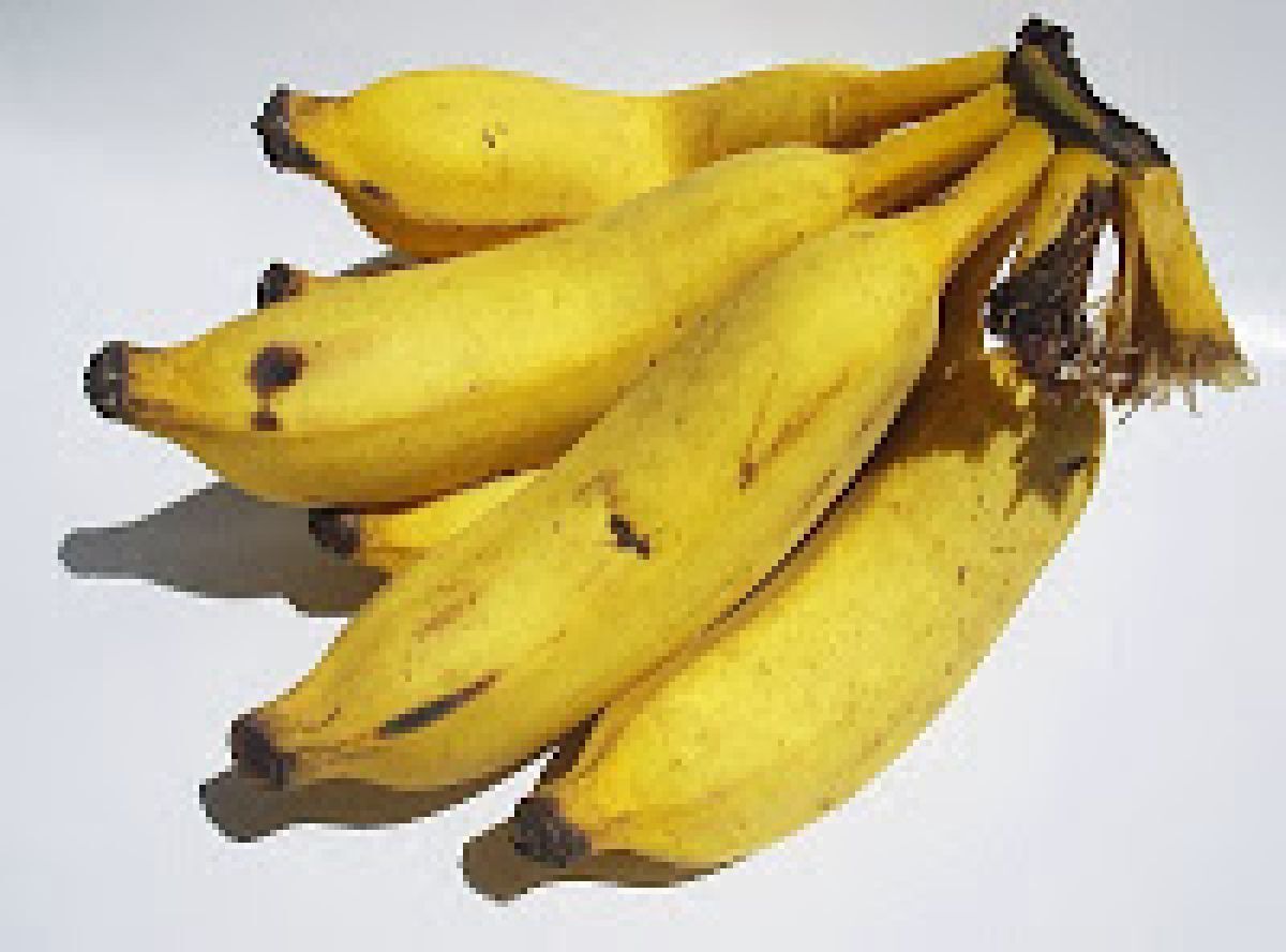 Banana-prata