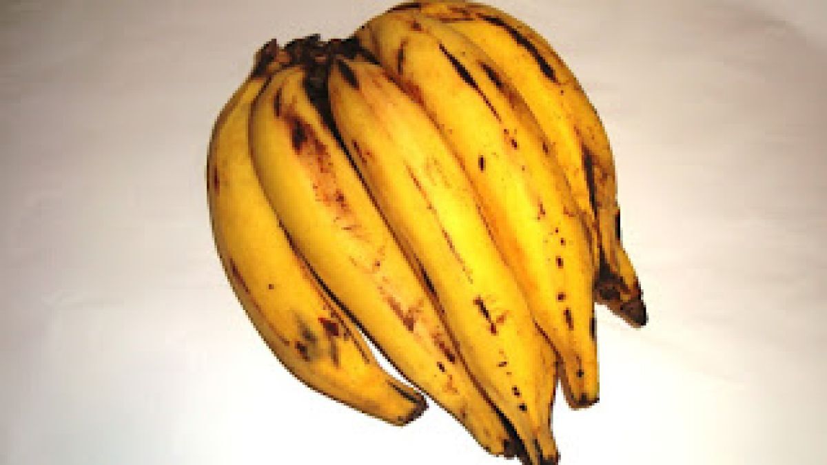 Banana-da-terra