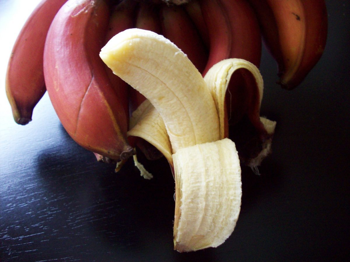 Banana-de-são-tomé