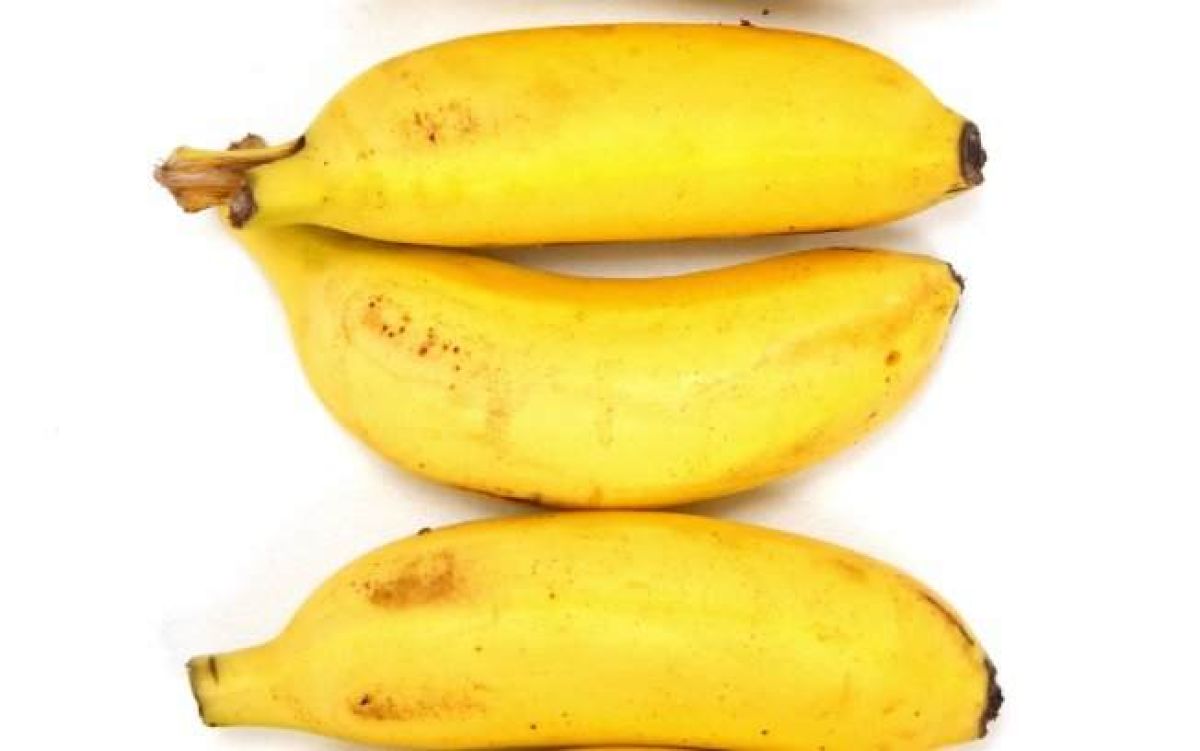Banana-ouro