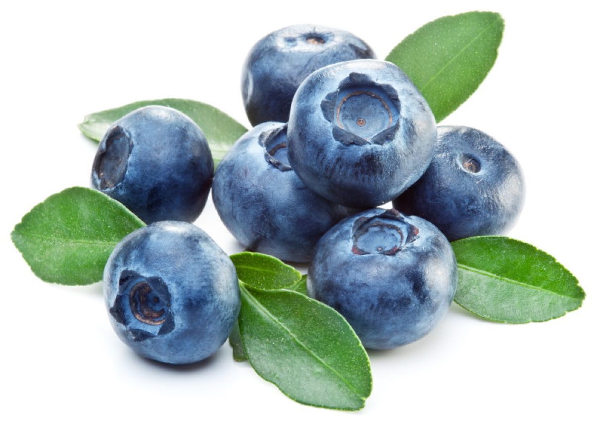 Cassis ou Groselha preta