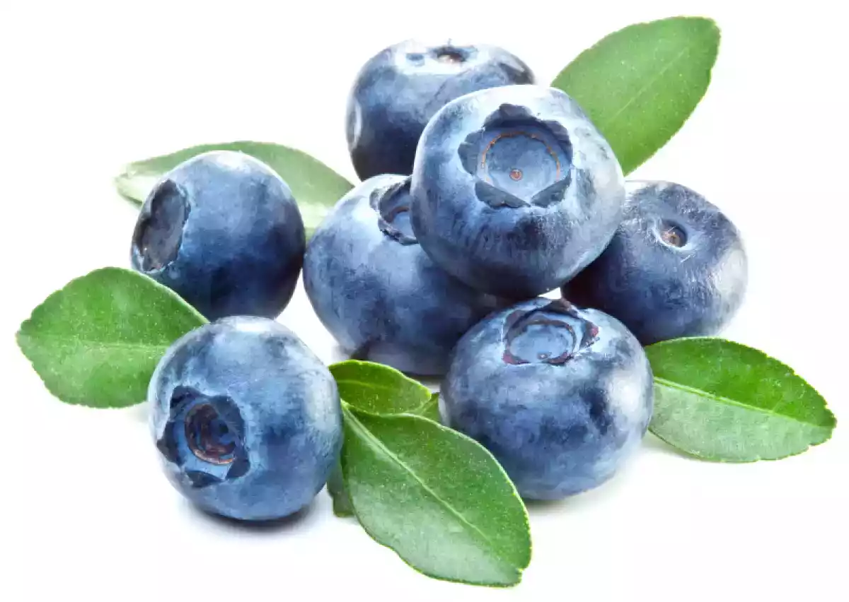 Cassis ou Groselha preta