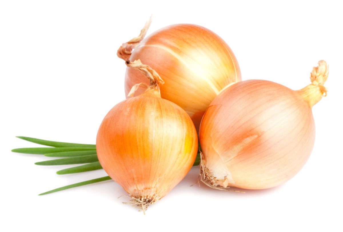 Cebola