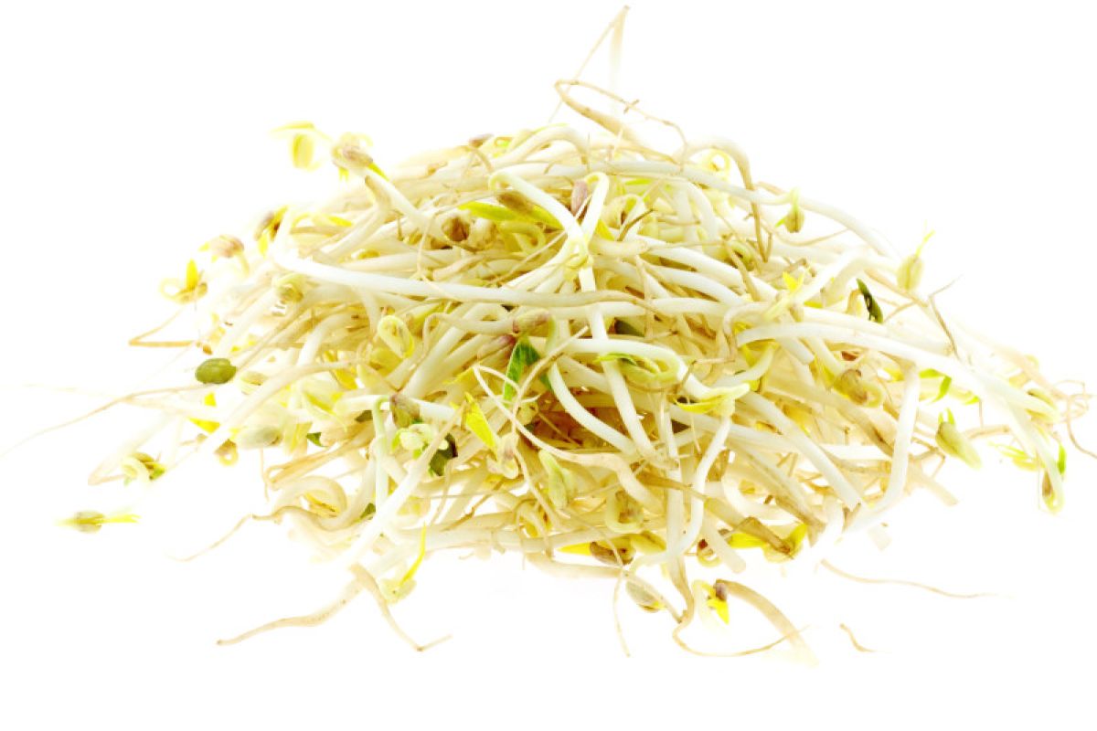 Soja