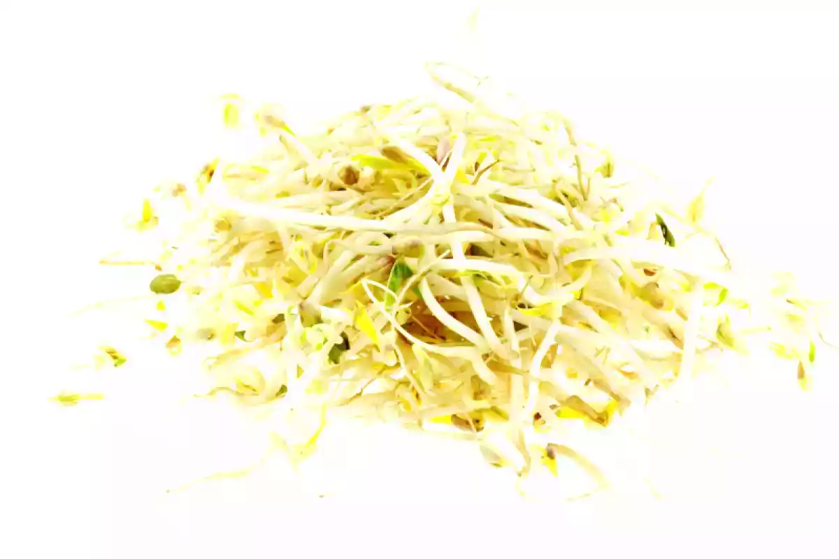 Soja
