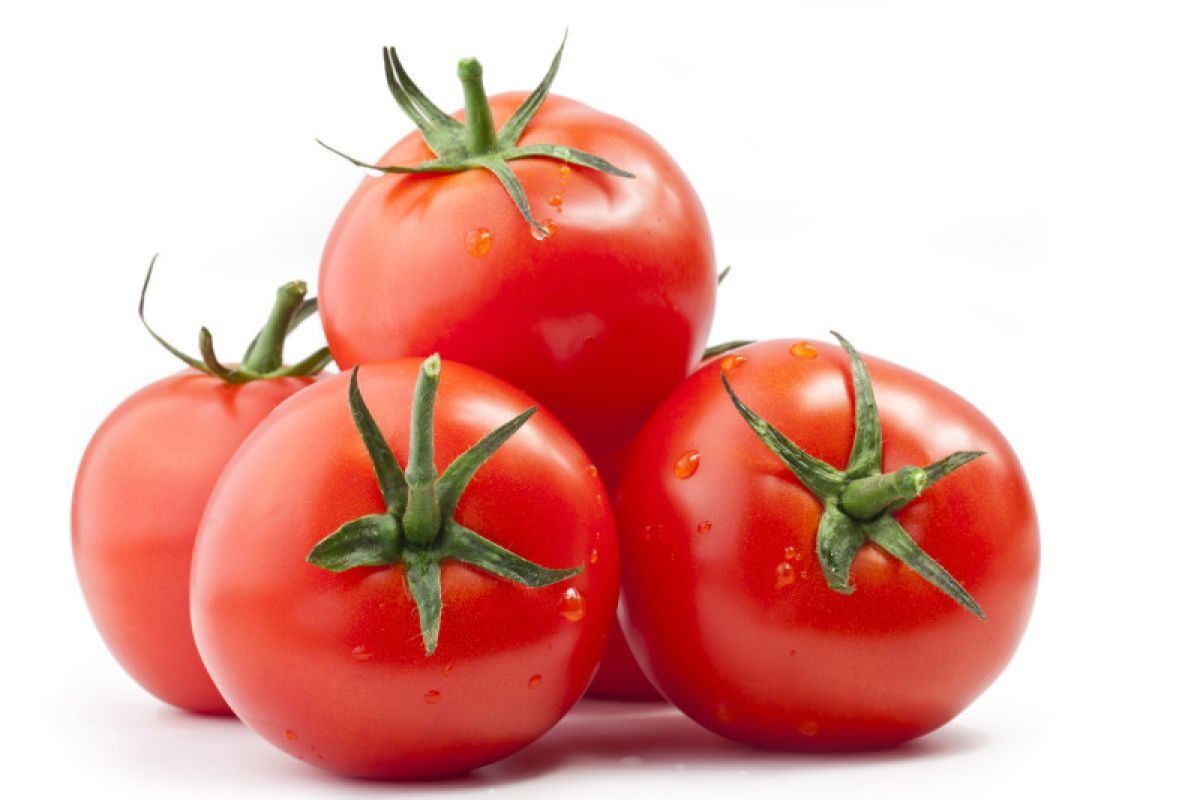 Tomate