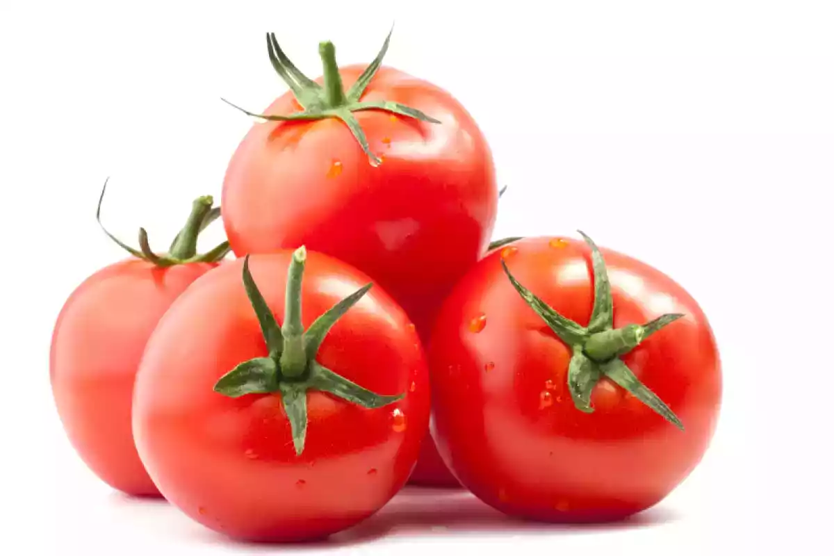 Tomate