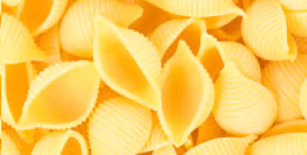 9. Conchiglie - Conchas/Búzios