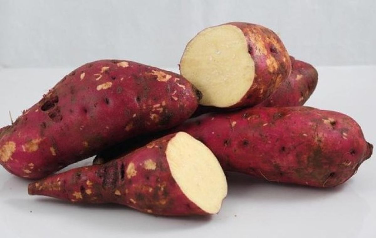 Batata Doce