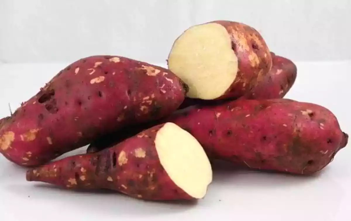 Batata Doce