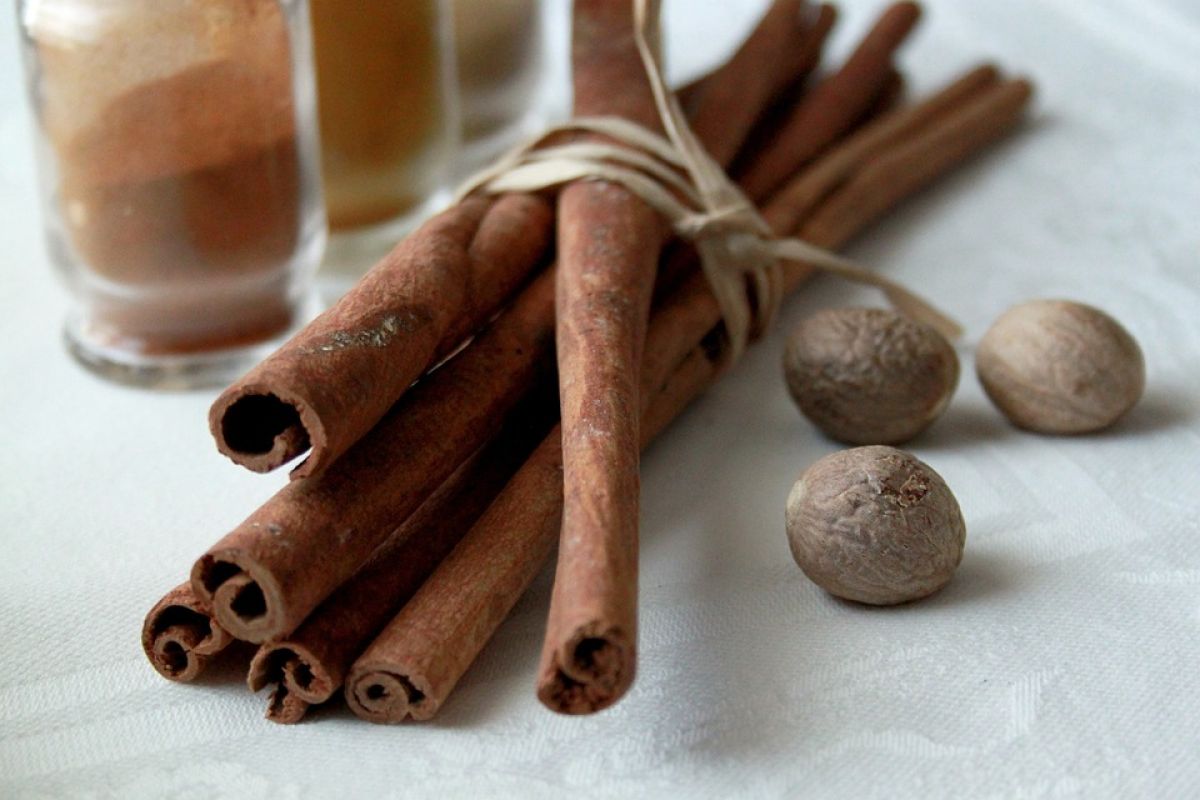 2. Canela