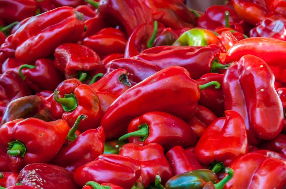 3. Pimenta Vermelha