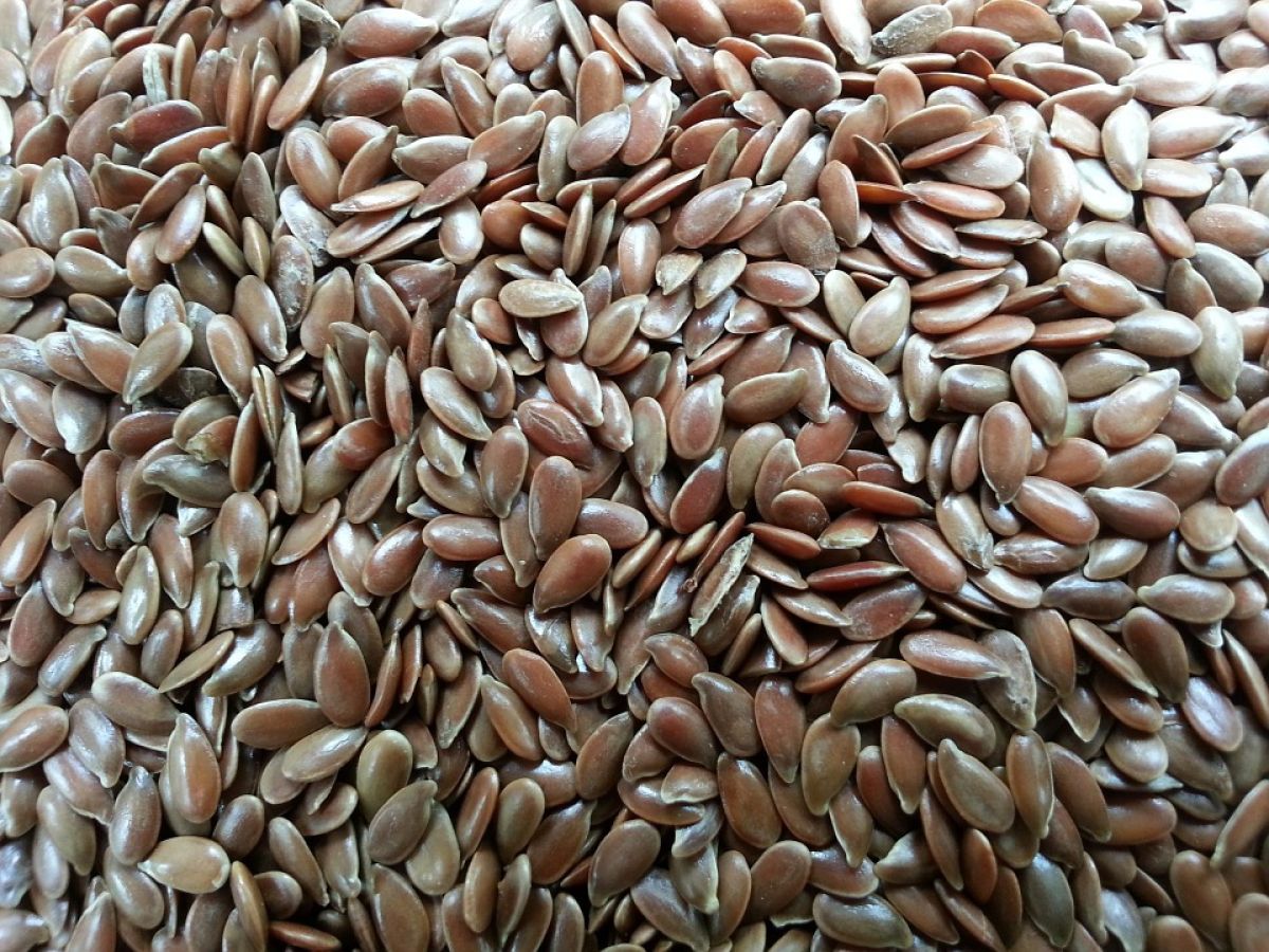 7. Alimentos ricos em ômega 3