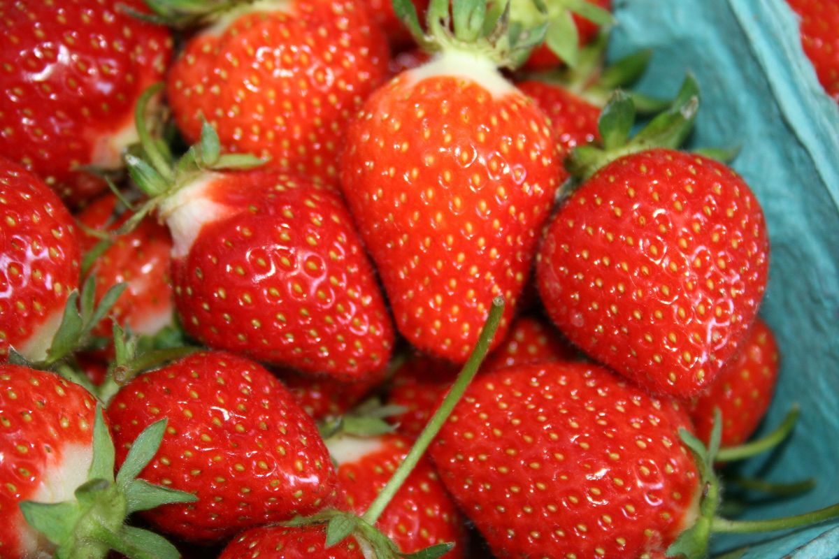 1. Frutos/Frutas vermelhos (as)