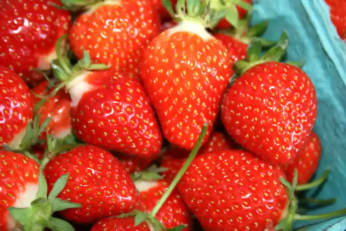 1. Frutos/Frutas vermelhos (as)