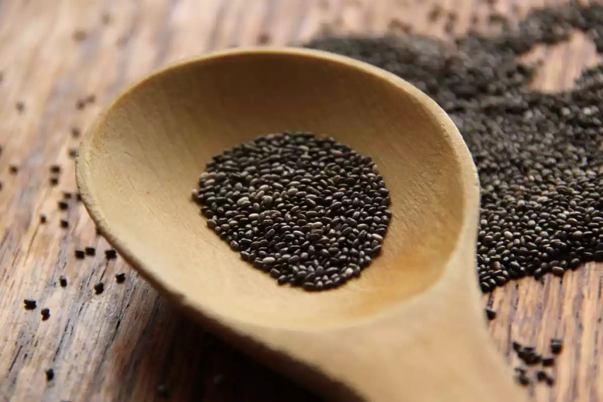 2. Sementes de Chia