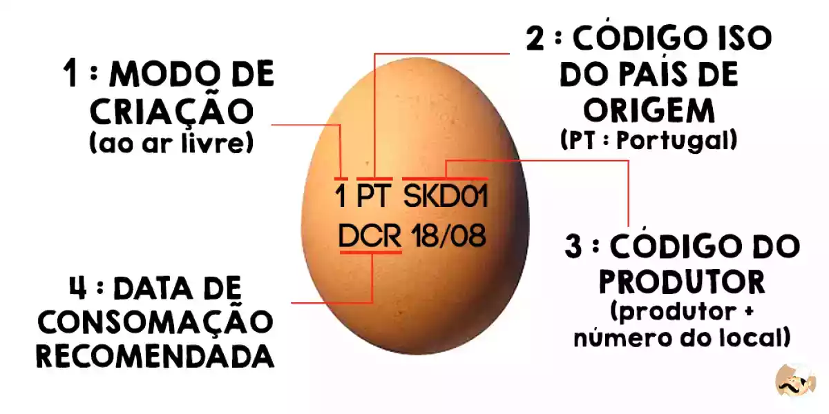 Decifrando em imagem