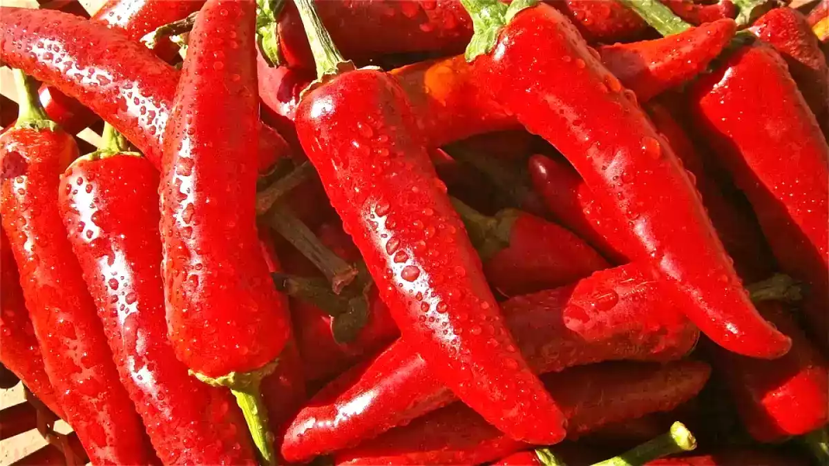 11. Pimentas Vermelhas