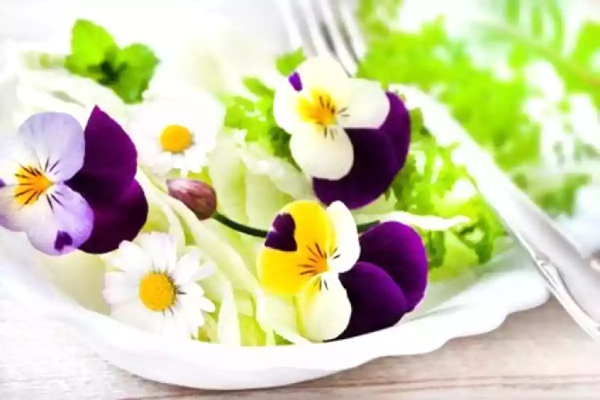 1. As Flores