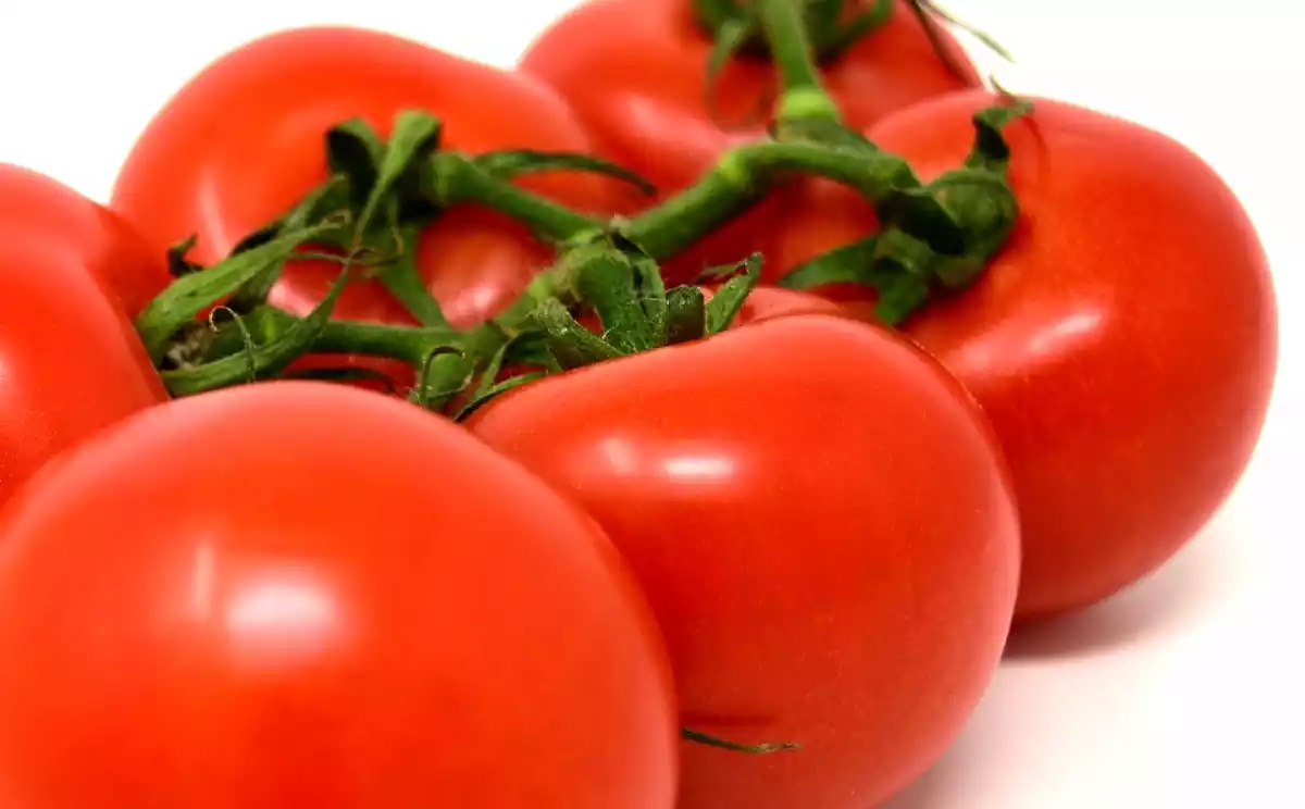 19. Despelar o tomate sem aquecê-lo