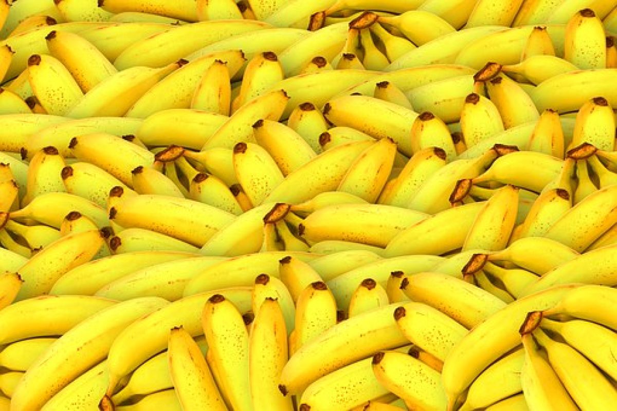 2. Yes, nós temos banana