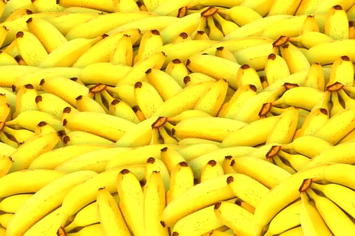 2. Yes, nós temos banana