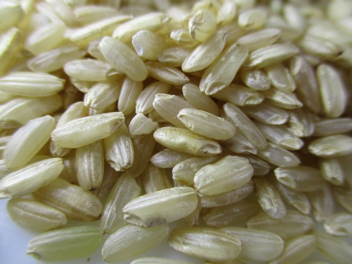 9. Arroz Integral