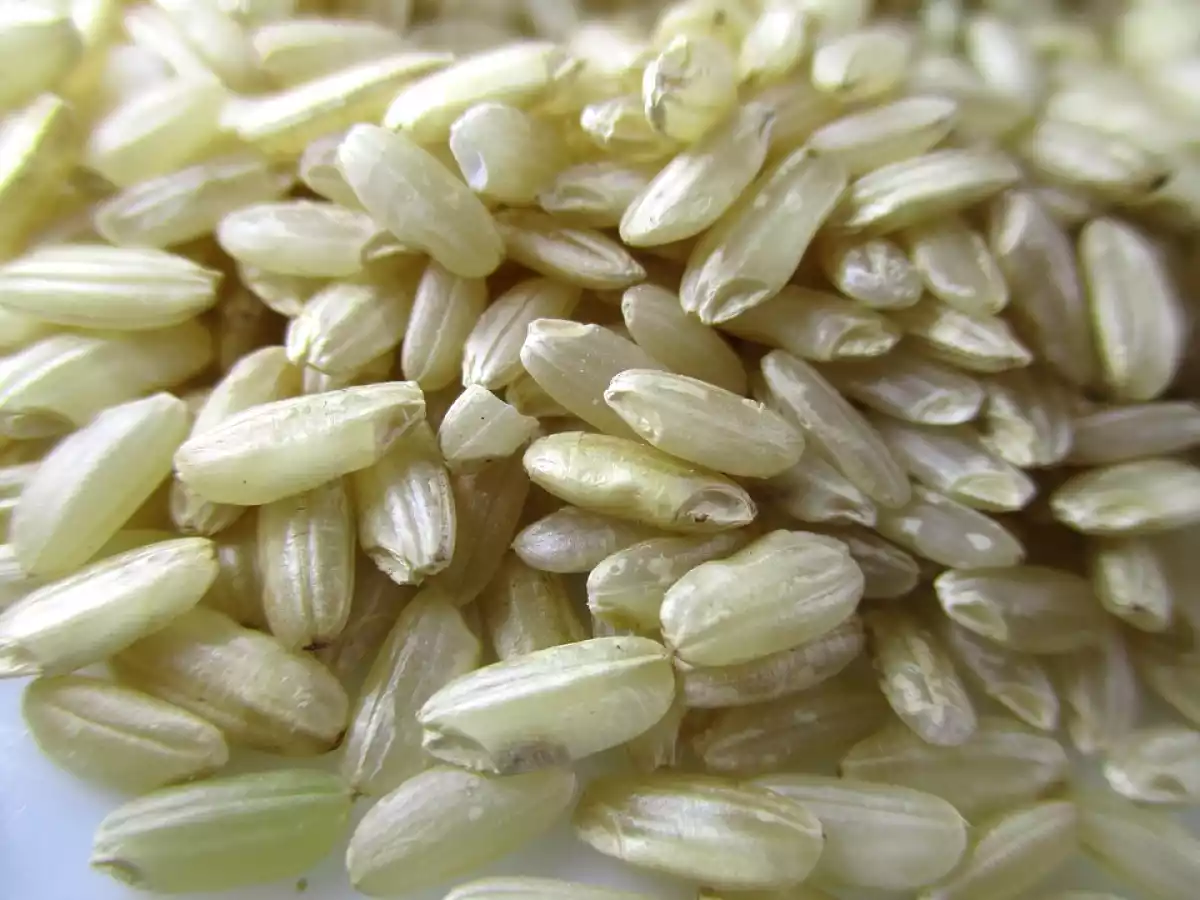 9. Arroz Integral