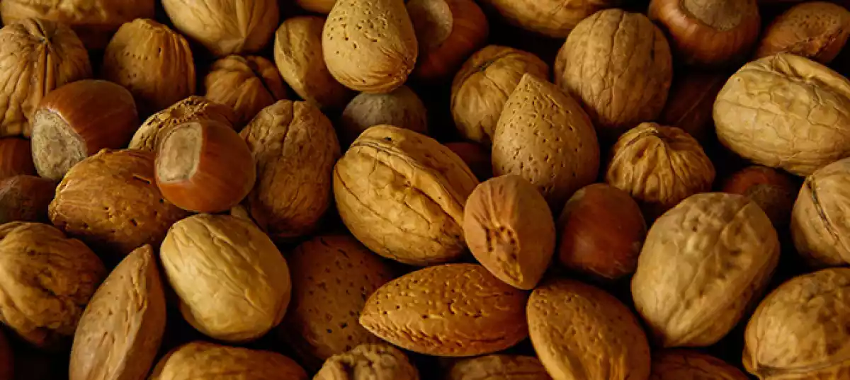 FRUTOS SECOS