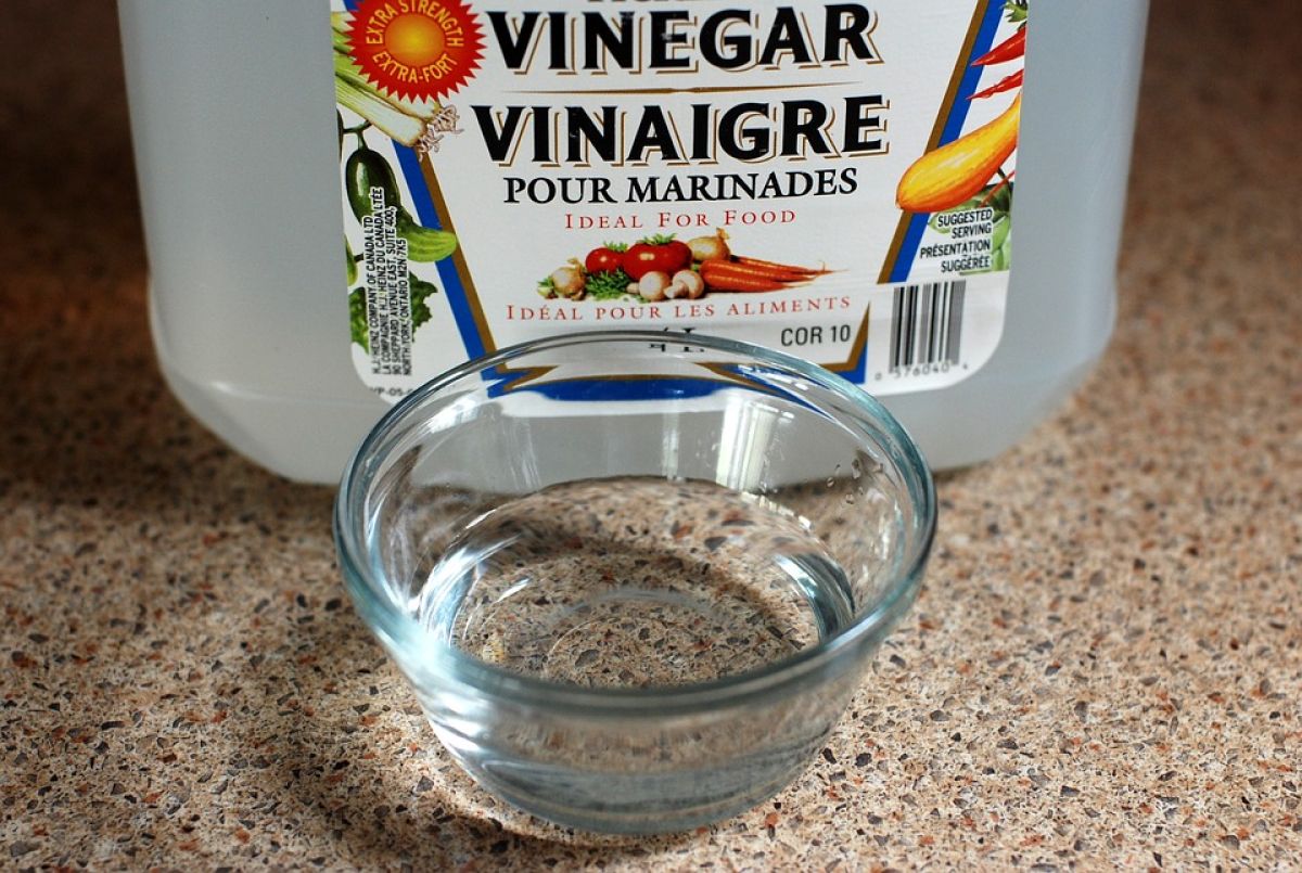 3. Vinagre Branco