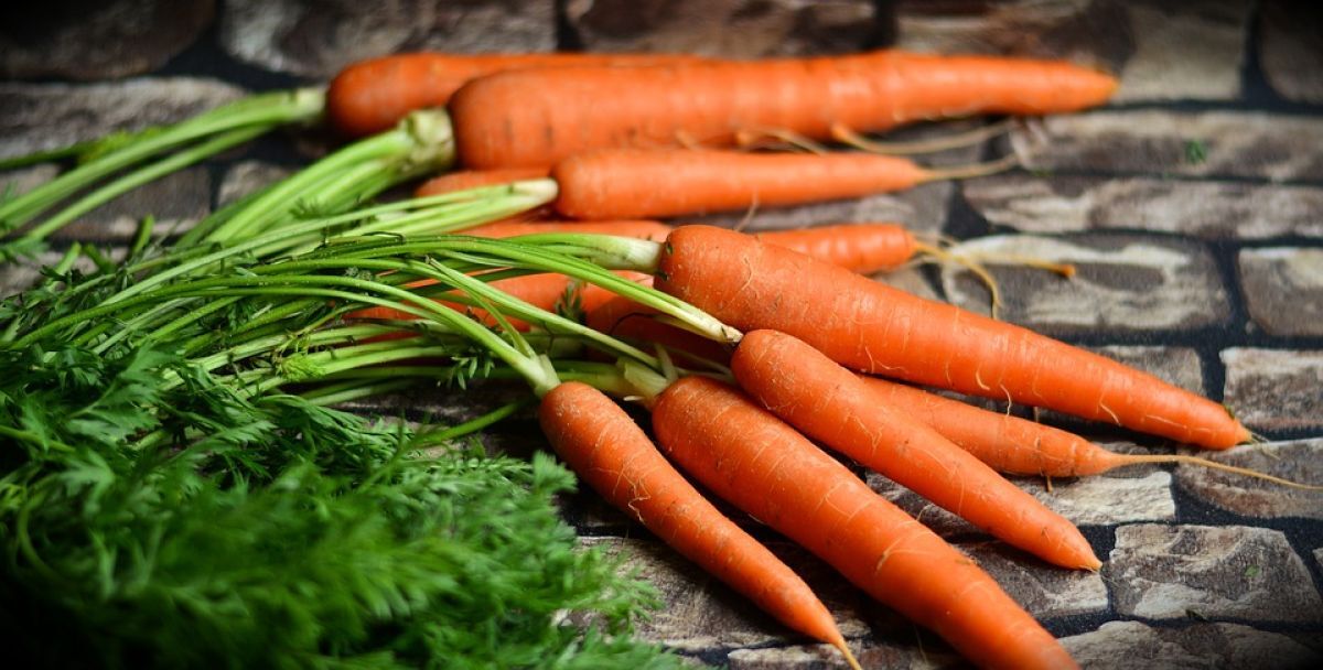PREPARE OS ALIMENTOS ANTES DE GUARDÁ-LOS: