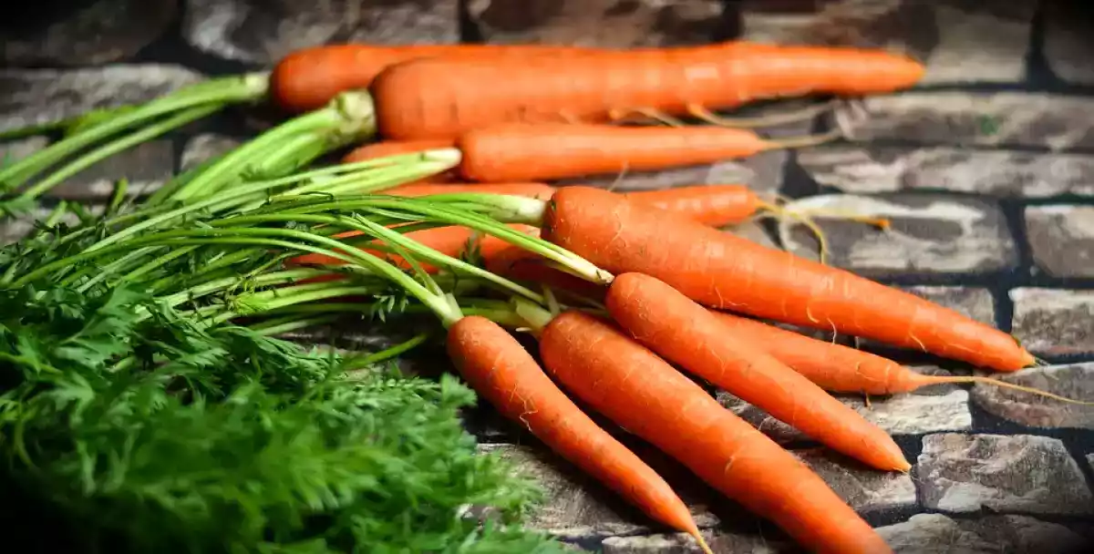 PREPARE OS ALIMENTOS ANTES DE GUARDÁ-LOS: