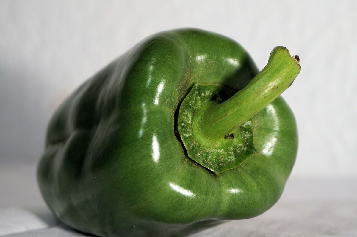 Pimentão verde