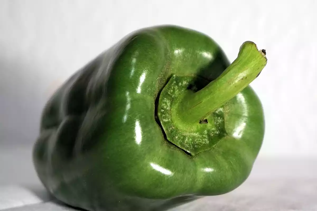 Pimentão verde
