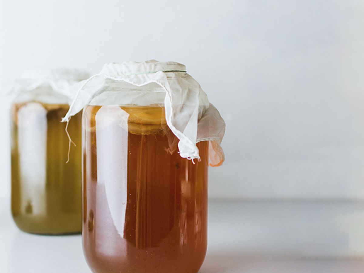 Kombucha