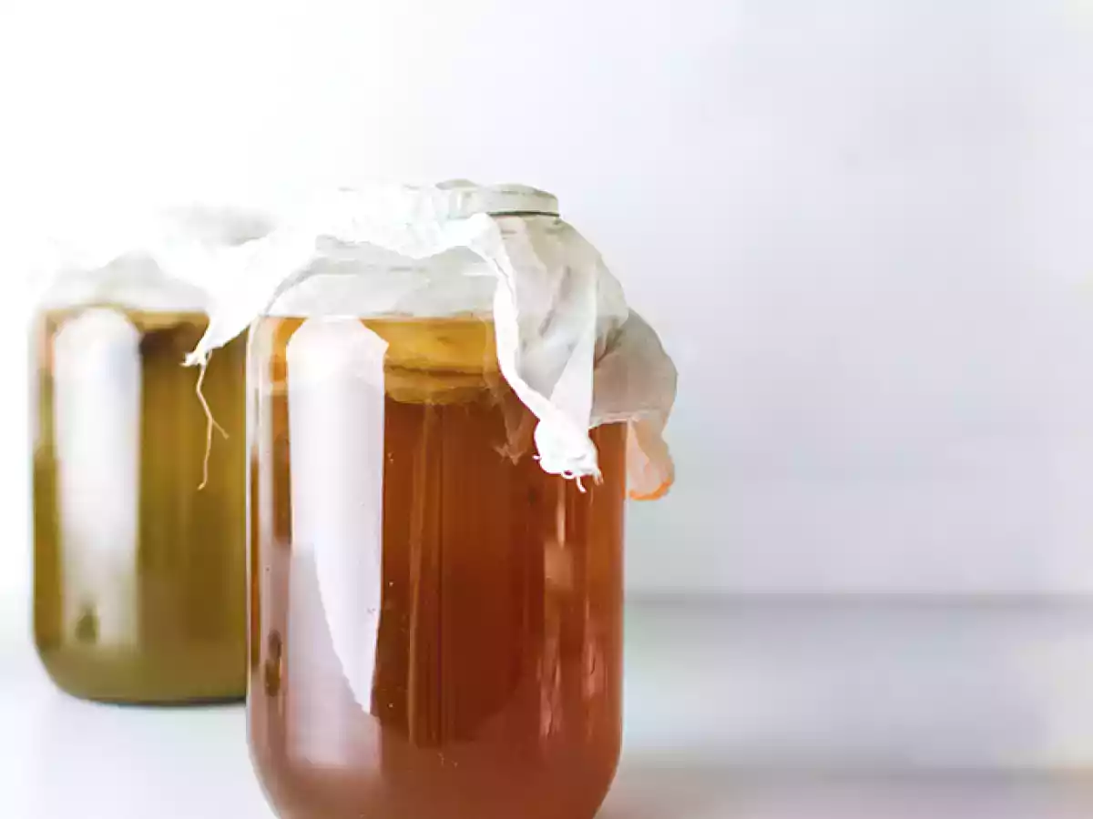 Kombucha