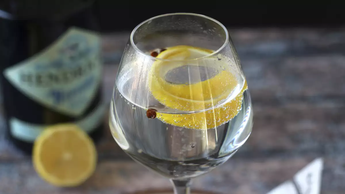 6. Gin Tônica (Índia/Reino Unido)