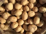 2. Batatas