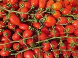 4. Fortalece os ramos dos tomates