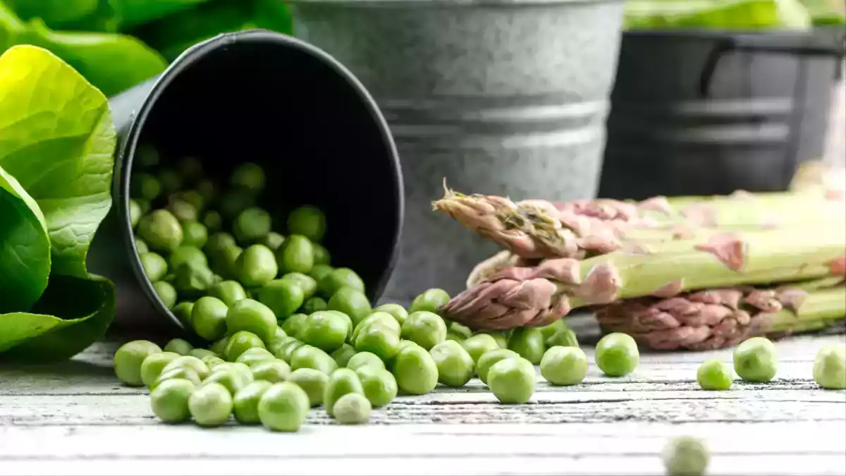 Primavera em seu prato: descubra as novidades da feira e como aproveitá-las ao máximo!