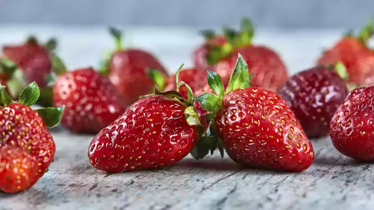 Como conservar morangos e plantas de morango para que durem mais em casa sem estragar!