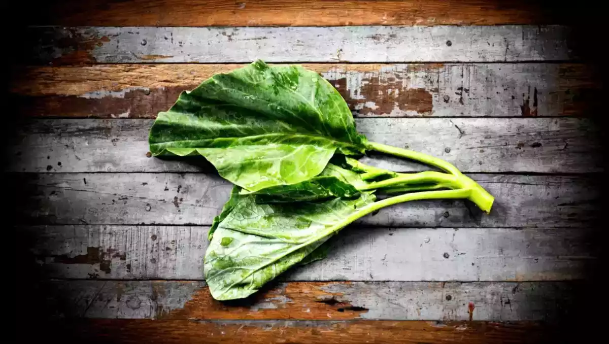 Este vegetal tem mais ferro do que o espinafre! Você já experimentou?